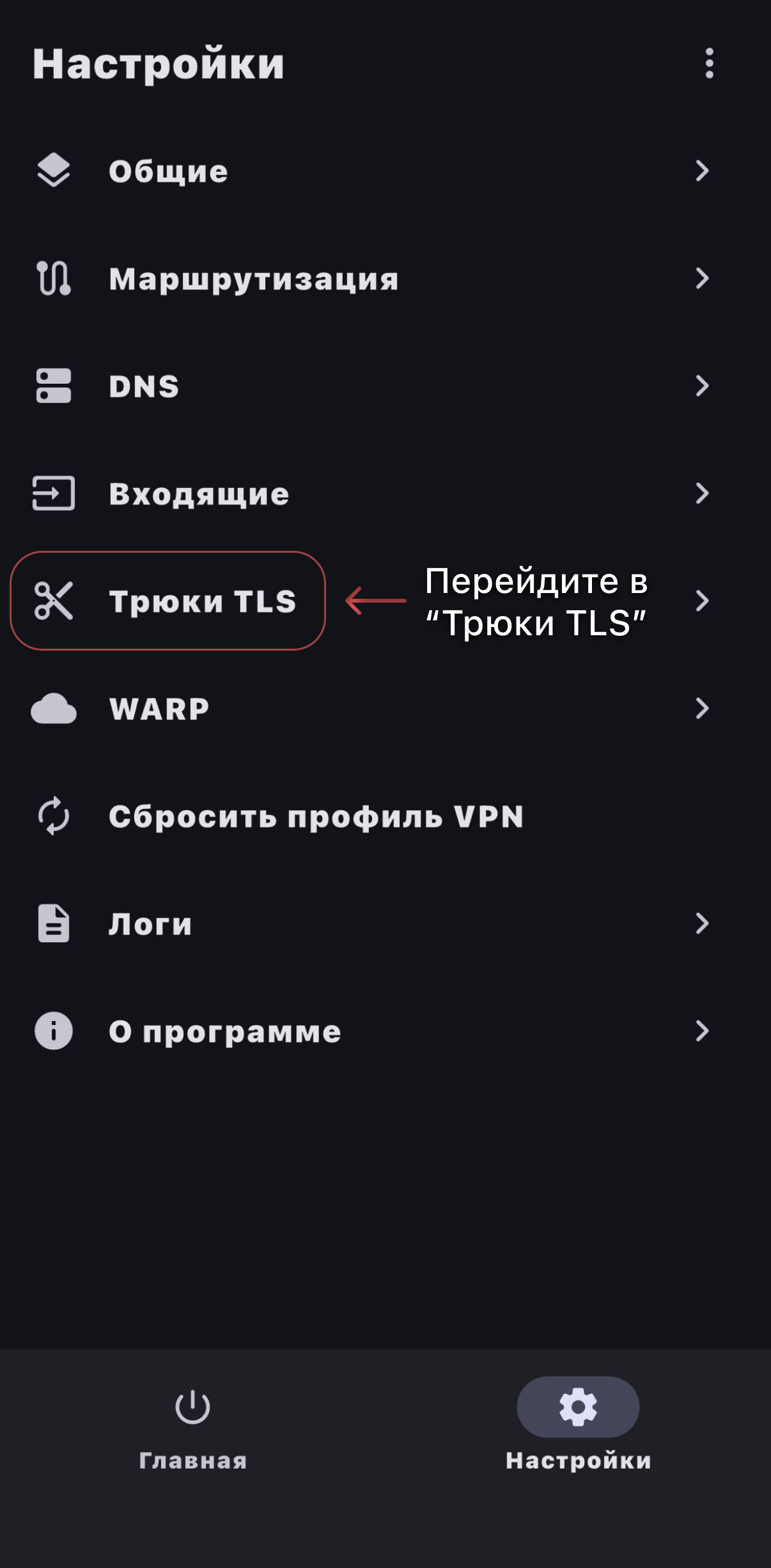 Шаг 10 — вход в Tricky TLS